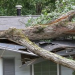 Storm Damage to Roof
