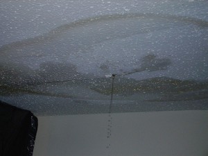 roof-leaks-pic